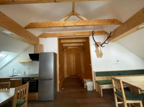 Apartma LD Puščava
